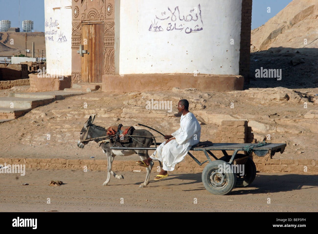 Nubian man in thawb / thobe / dishdasha on cart pulled by donkey (Equus asinus), Wadi Halfa, Sudan, North Africa Stock Photo