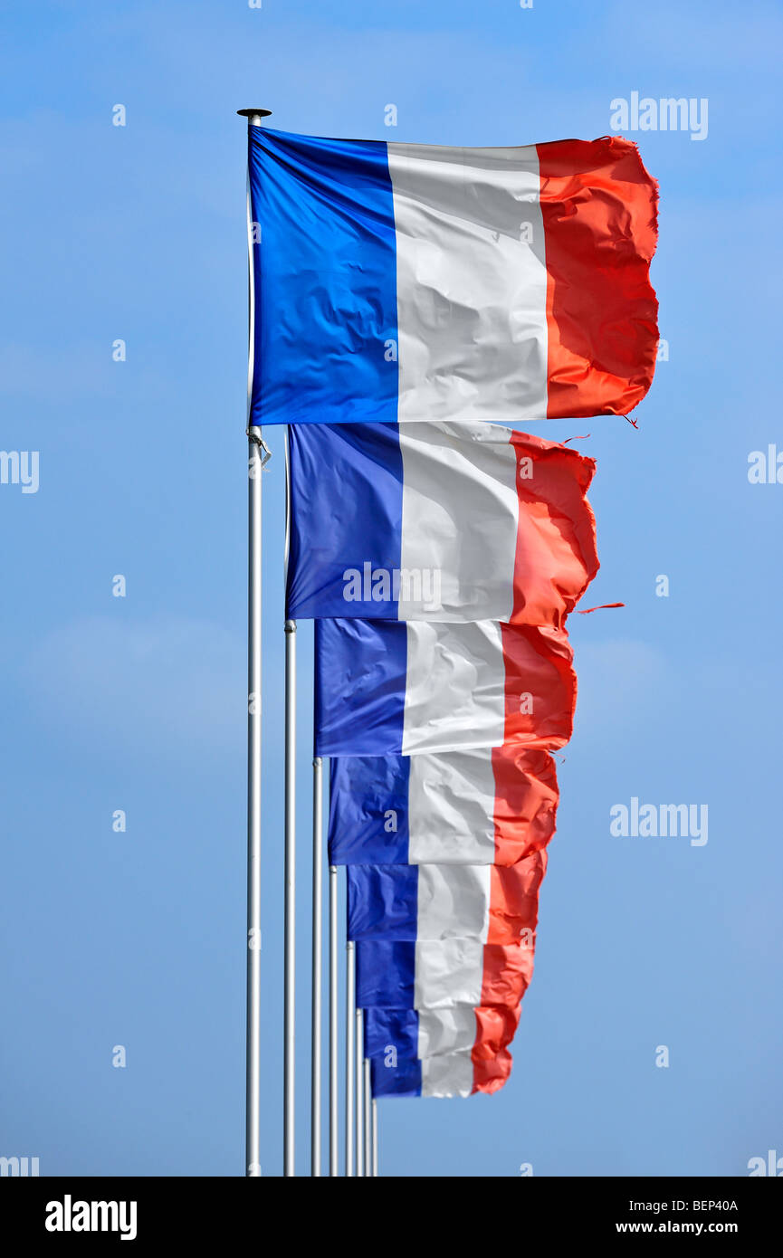 Row of French national flags of France on flagpoles flying in the wind against blue sky Stock Photo