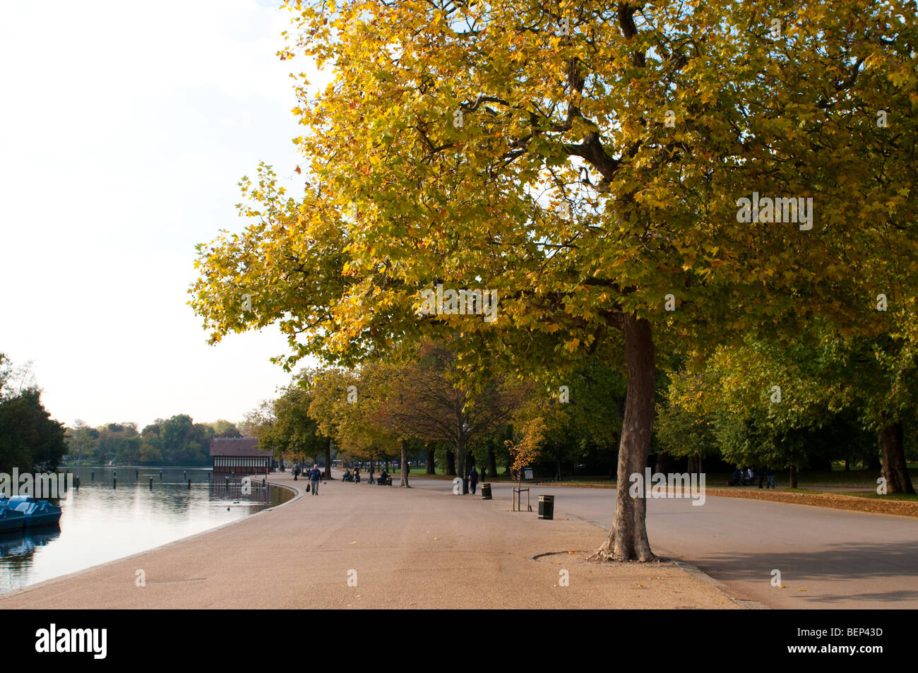 Promenade along the Serpentine lake in Hyde Park in autumn, London, Westminster, SW1, UK Stock Photo