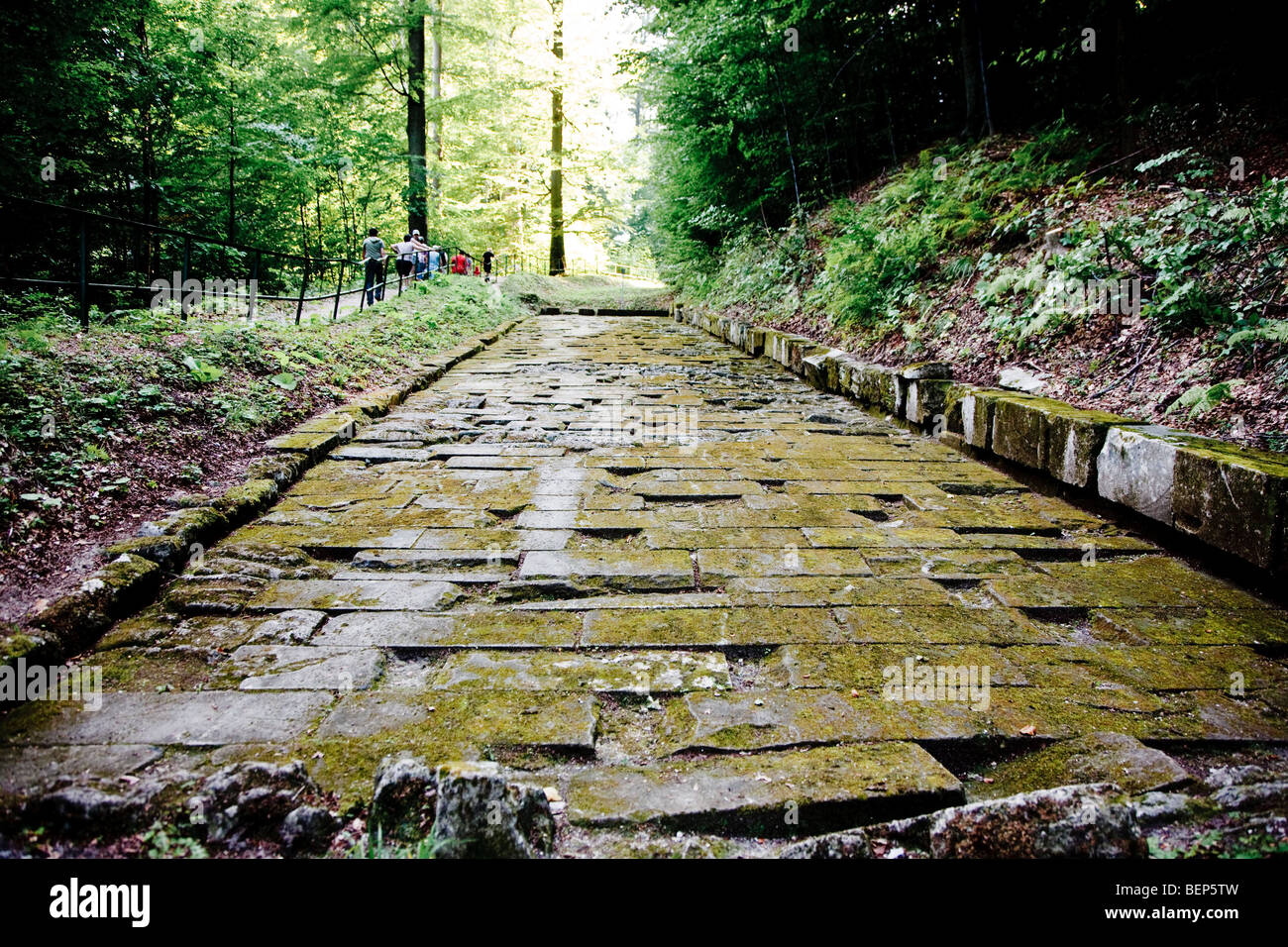 Paved trail at the stronghold of Sarmizegetusa Regia (capital of the dacian kingdom before the roman conquest), Romania Stock Photo
