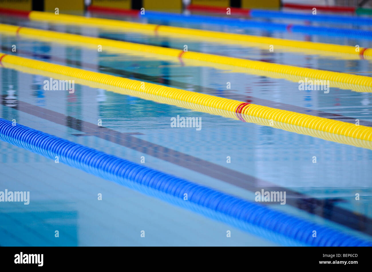 Swimming pool lanes marked with yellow and blue lane markers / floats Stock  Photo - Alamy