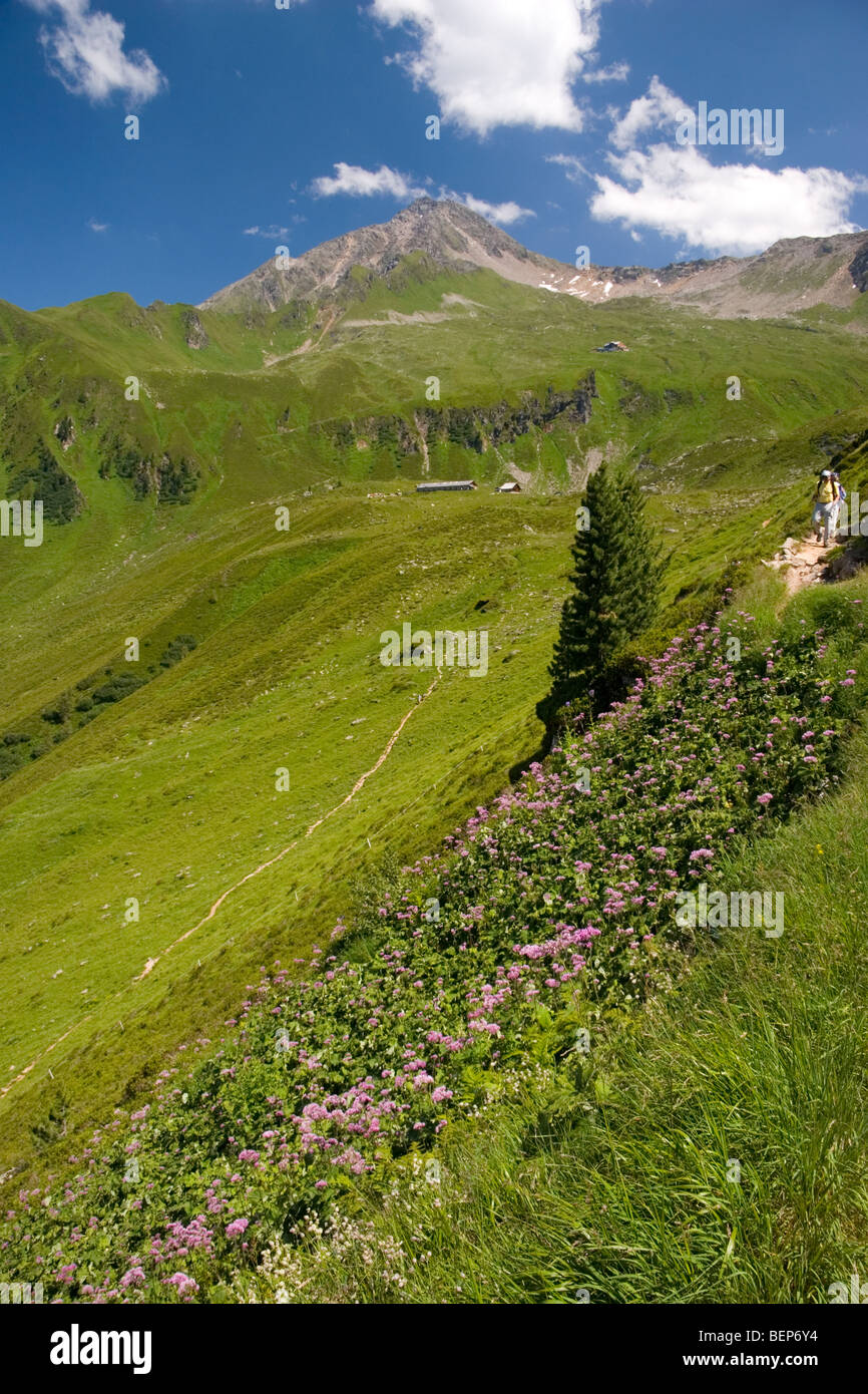 Ahorn Spitze, Zillertal Alps, Austria Stock Photo - Alamy