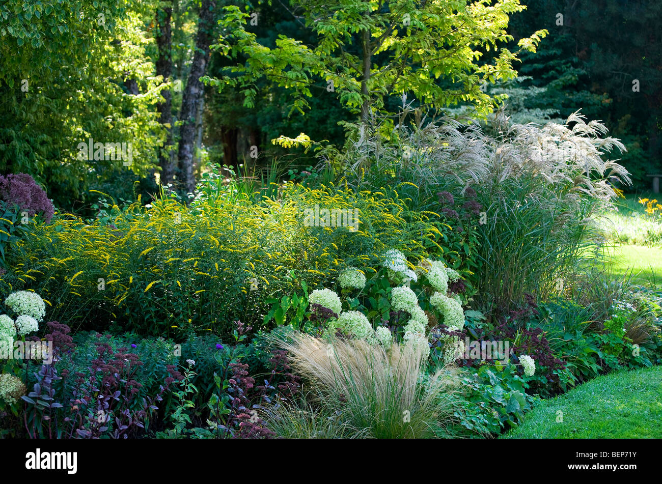 grasses, flowers, shrubs in cottage garden, norfolk, england Stock Photo
