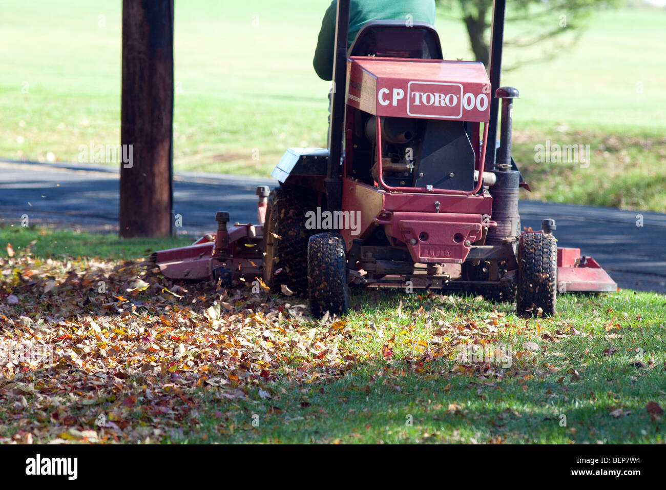 A grounds keeper mowing with a large toro mower. Mulching leaves. Stock Photo