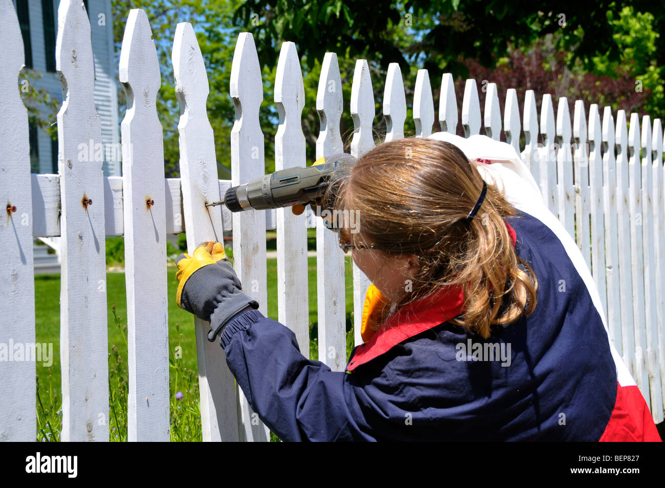 Female repairing a white picket fence Stock Photo Alamy