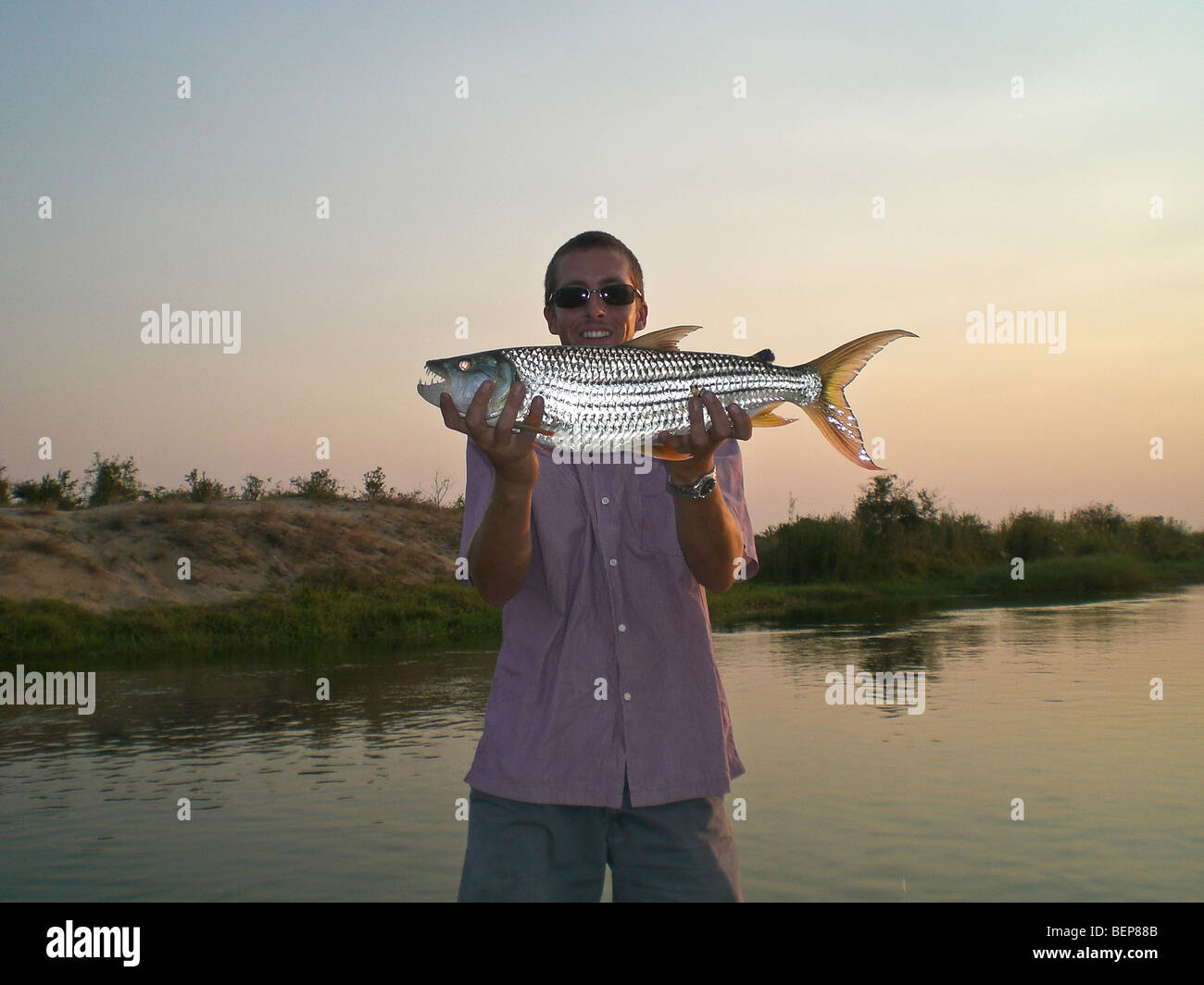 Fisherman with 4kg (8.8lbs) tiger fish, Lower Zambezi Zambia Africa. Stock Photo