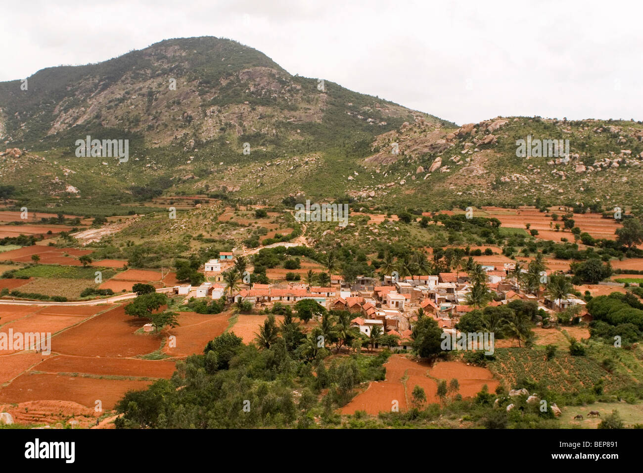 A village stands in the green of the valley below the Nandi Hills ...