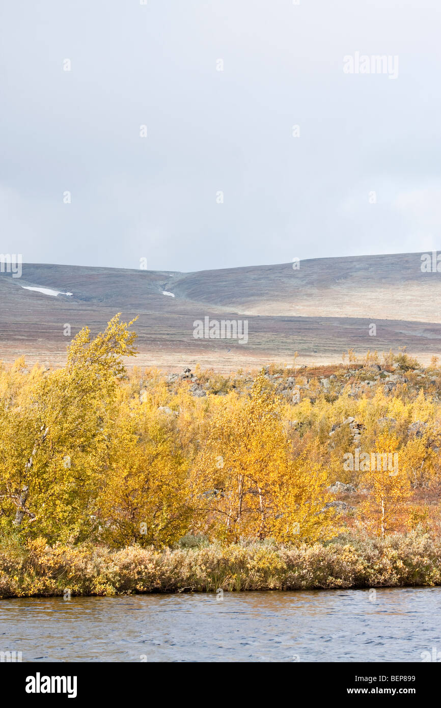 Sarek National Park Stock Photo - Alamy