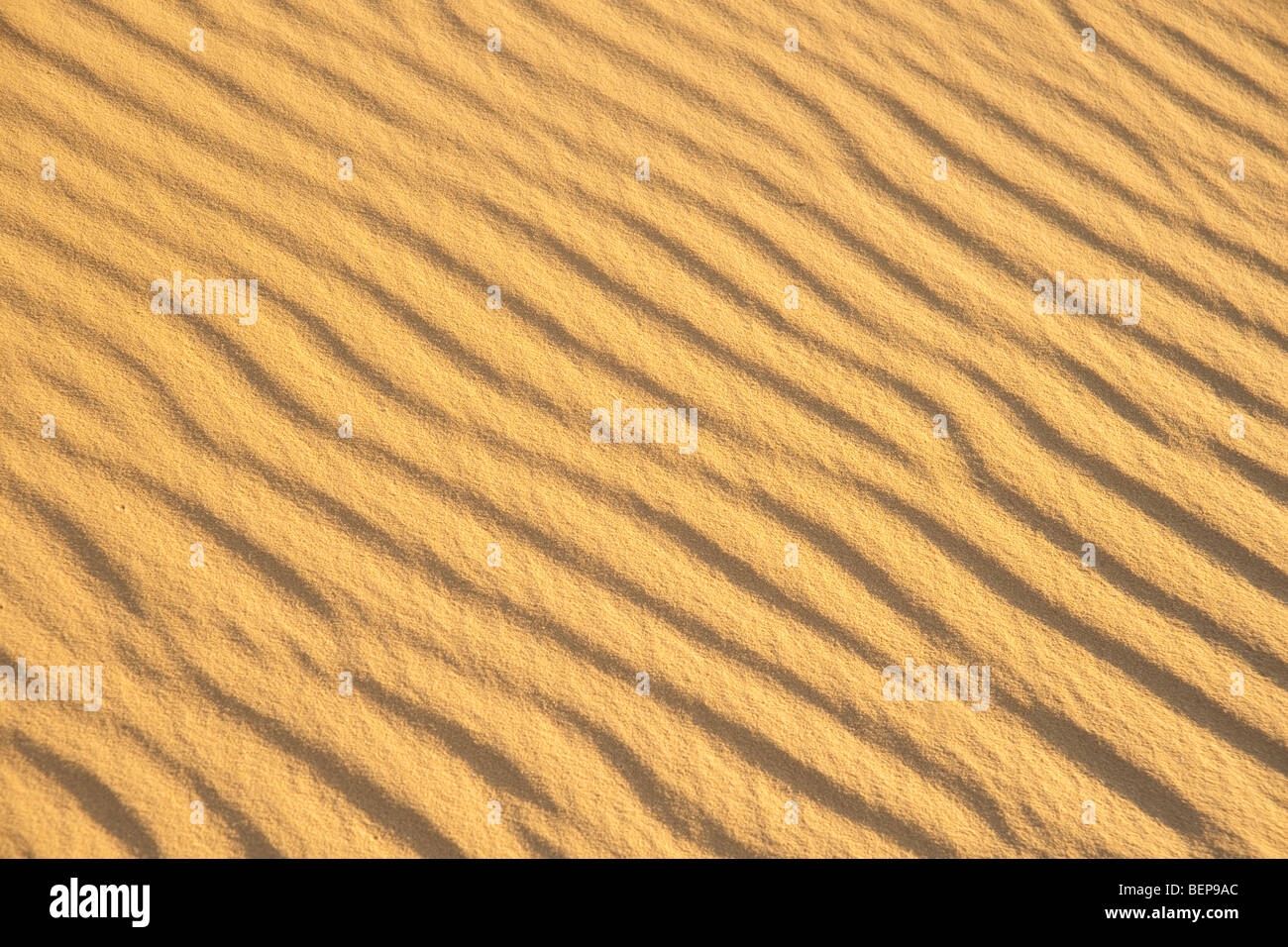 Pattern in the sand in the desert Stock Photo