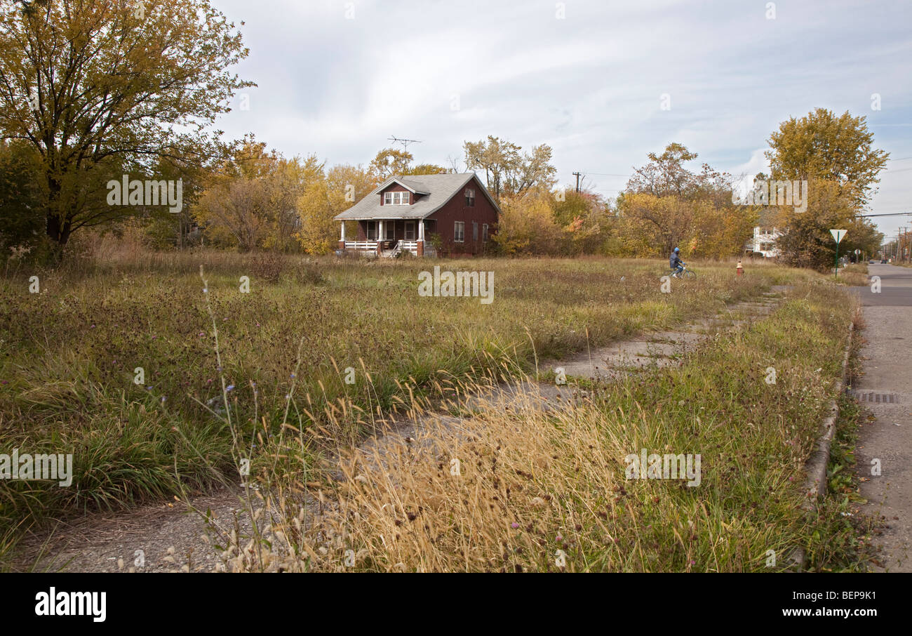 Vacant Land in Detroit Stock Photo
