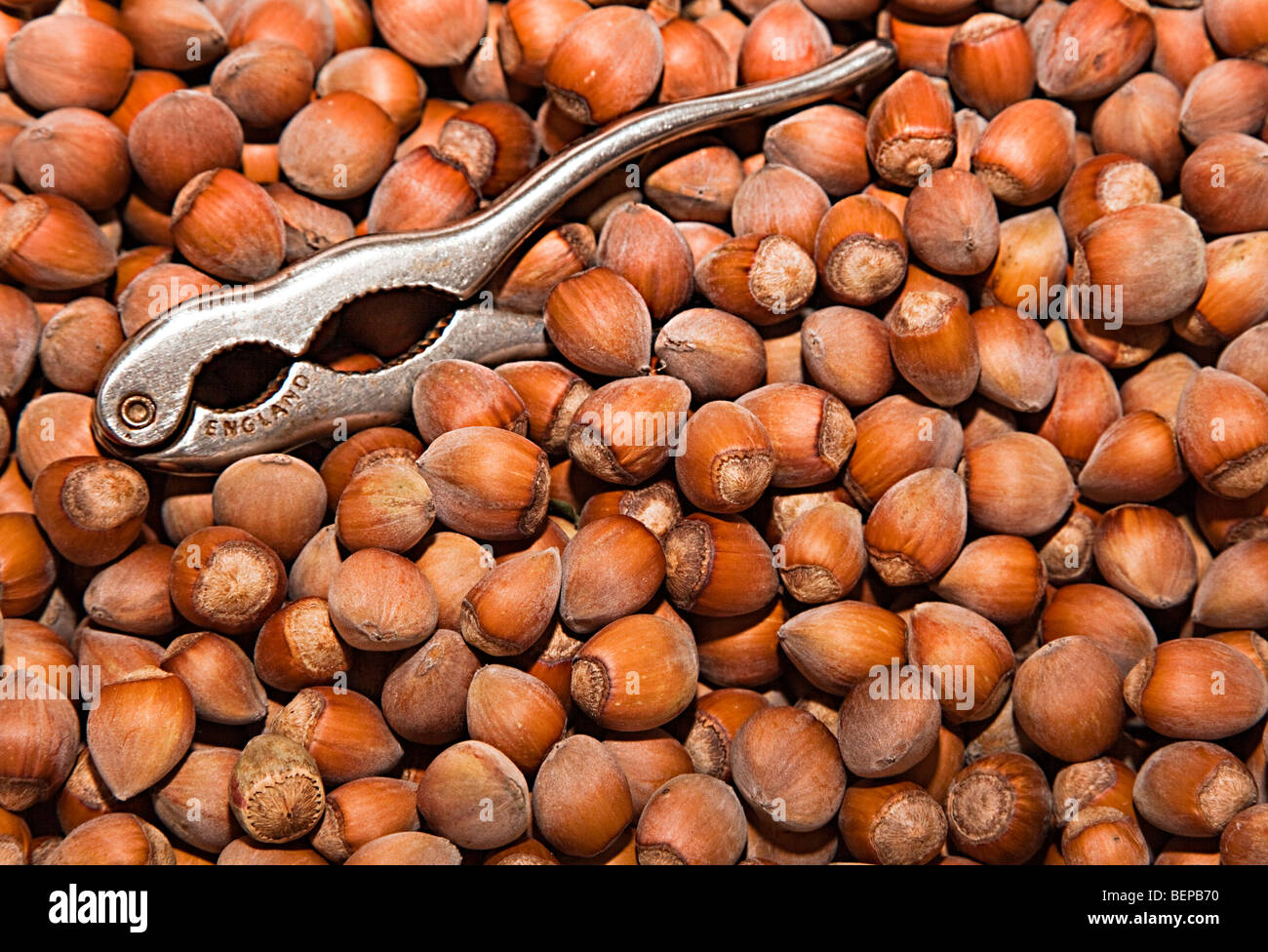 Hazel nuts with nutcracker Stock Photo Alamy