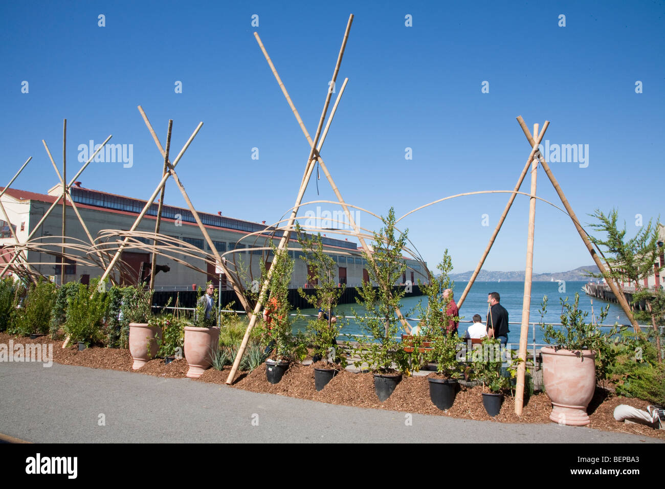 Temporary landscaping of walkway at West Coast Green 2009 conference