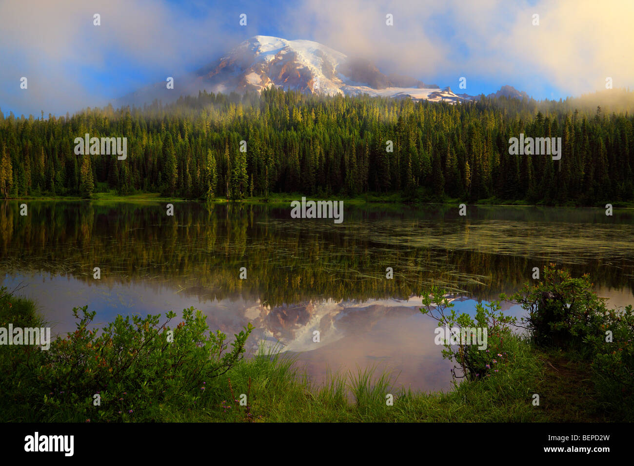 Misty Reflection at Mount Rainier's Reflection Lakes Stock Photo