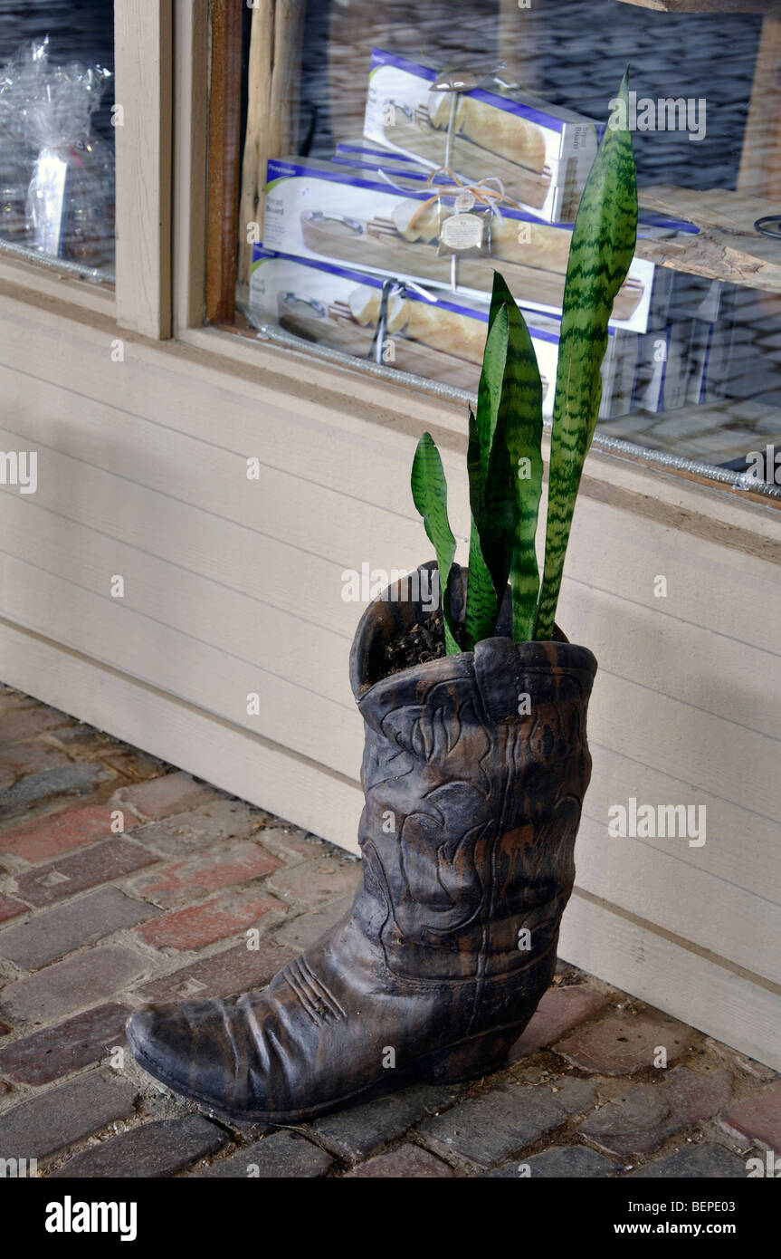 Plant pot in shape of cowboy boot Stock Photo - Alamy