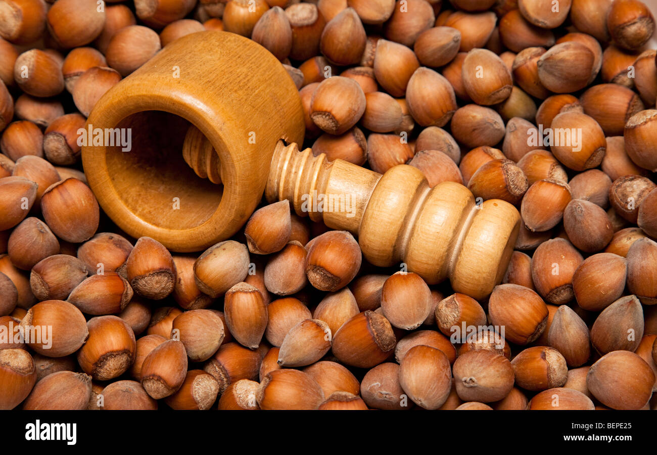 Hazel nuts with nutcracker Stock Photo Alamy