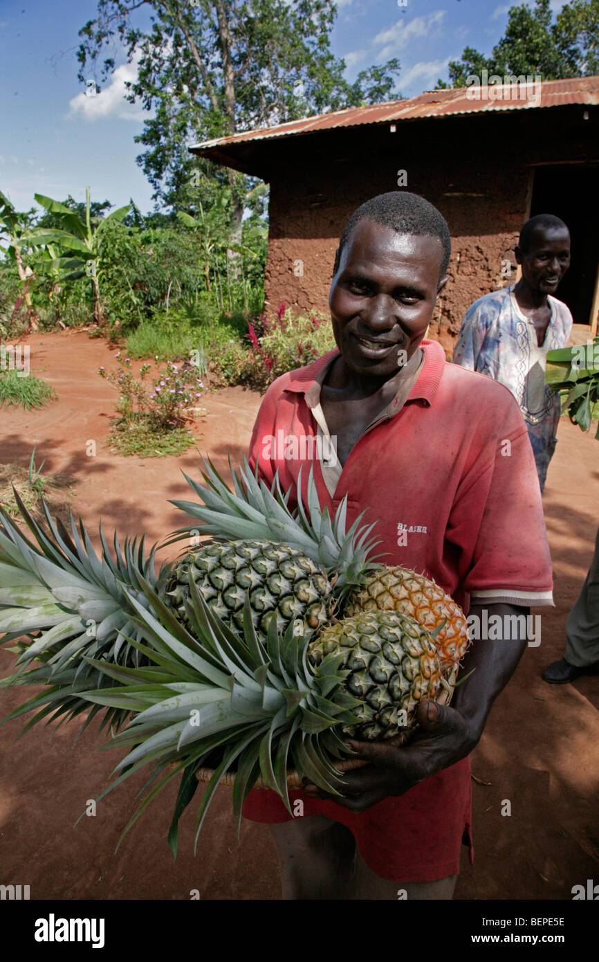 UGANDA Batambuze Michael holding pineapples. Kayunga District. PHOTO by