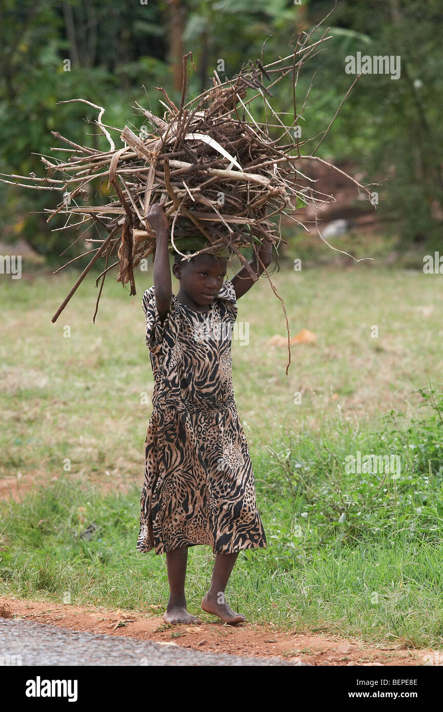 UGANDA Girl carrying firewood on her head, Mukono District. PHOTO by SEAN SPRAGUE Stock Photo