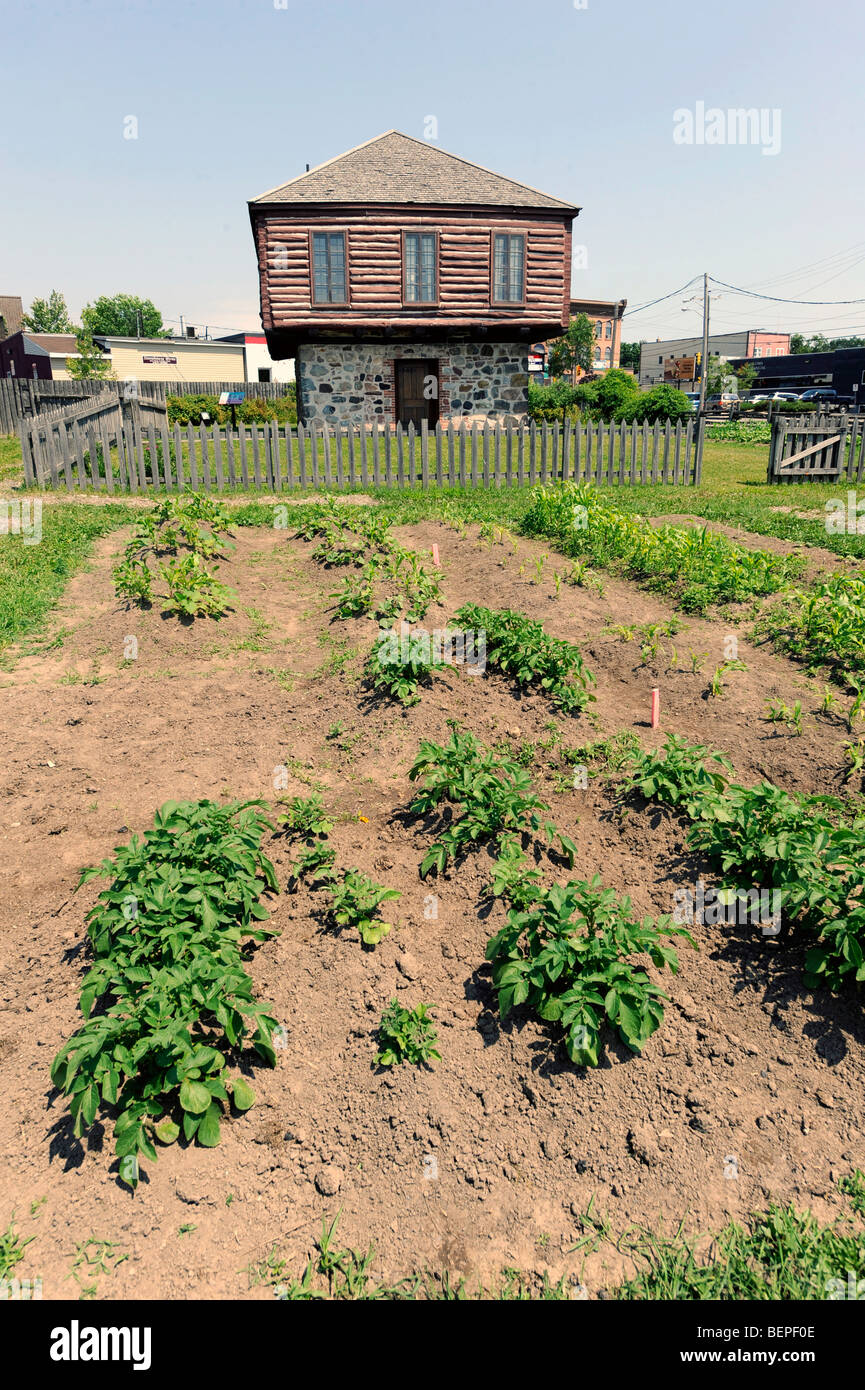 Three Sisters Garden in front of Clergue Block House Sault Ste. Marie