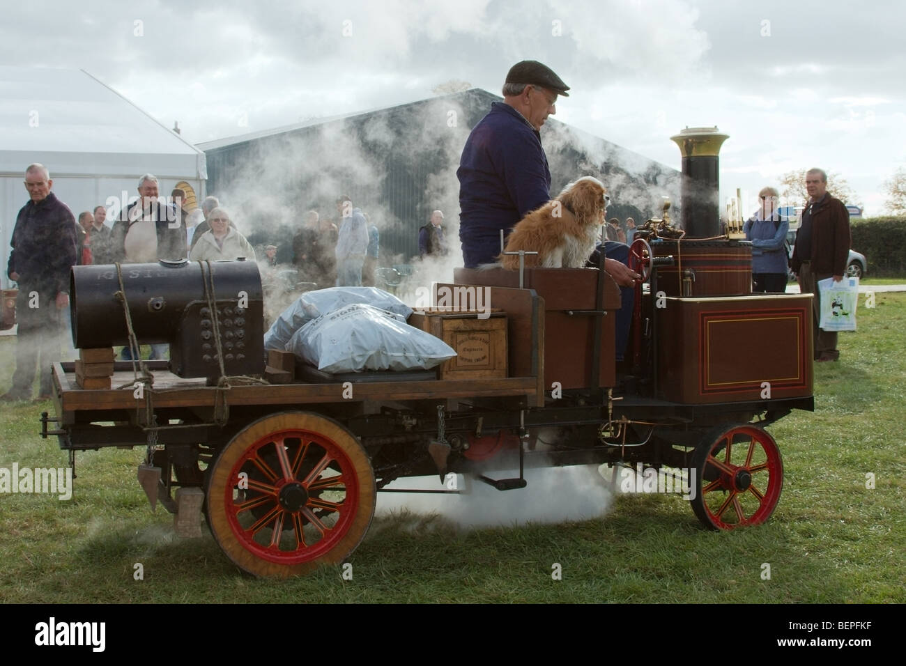 a live steam enthusiast driving his scale model steam lorry with his dog as a passenger Stock Photo