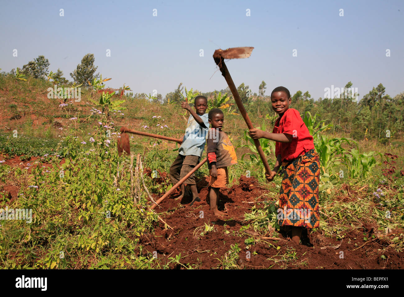 Burundi Farming High Resolution Stock Photography and Images Alamy