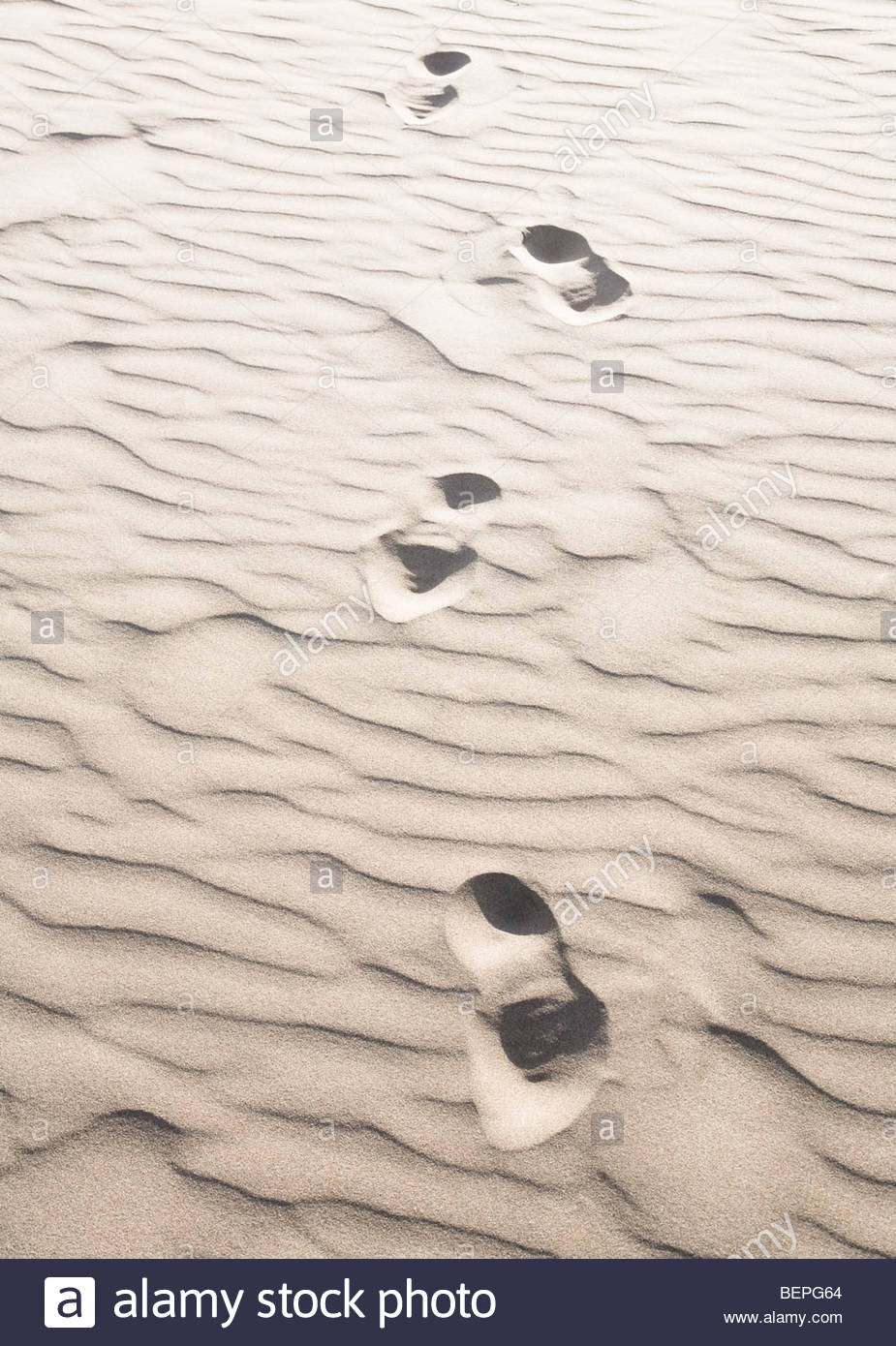 Текст следы на песке. Следы в пустыне. Следы на морском песке. Следы ящерицы на песке. Песочные следы.