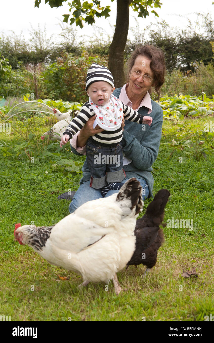 Grandmother and baby grandson feeding the chickens, Hampshire England. Stock Photo