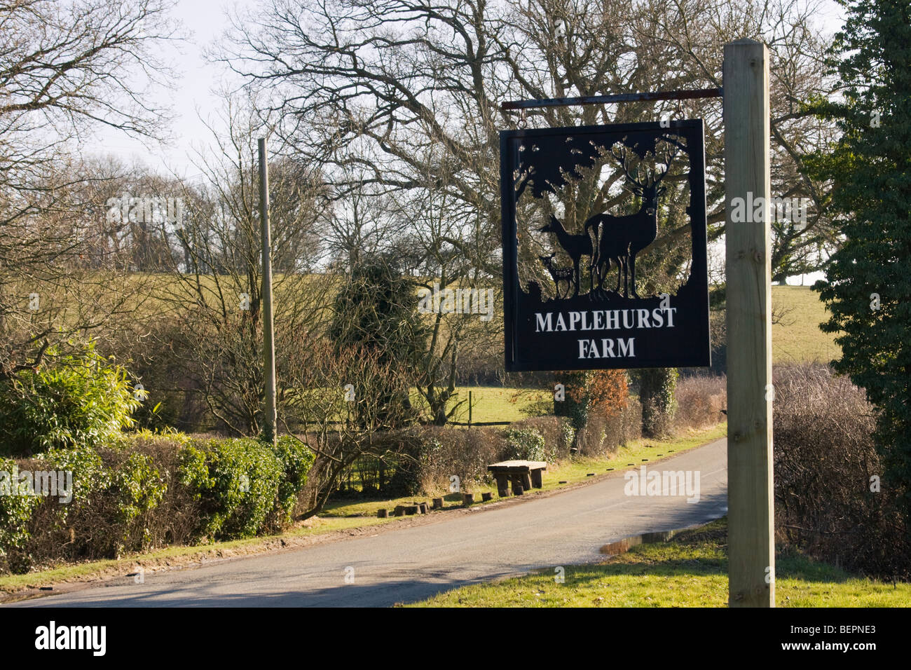 maplehurst farm sign Stock Photo Alamy