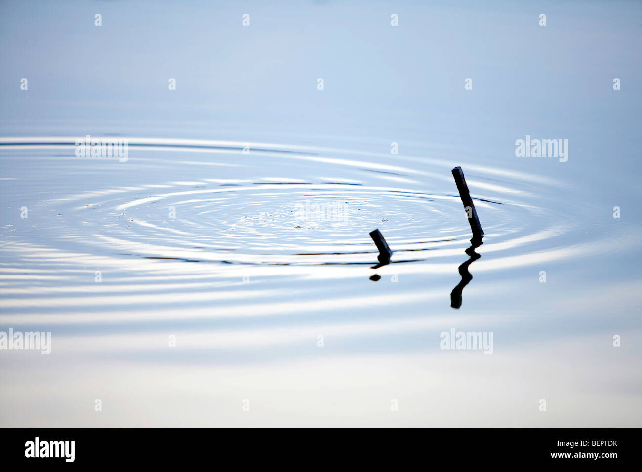 Calm peaceful water pond Stock Photo