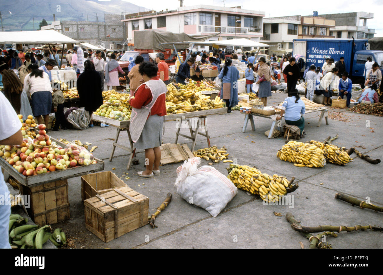 Banana seller in Ecuadorian local market. Stock Photo