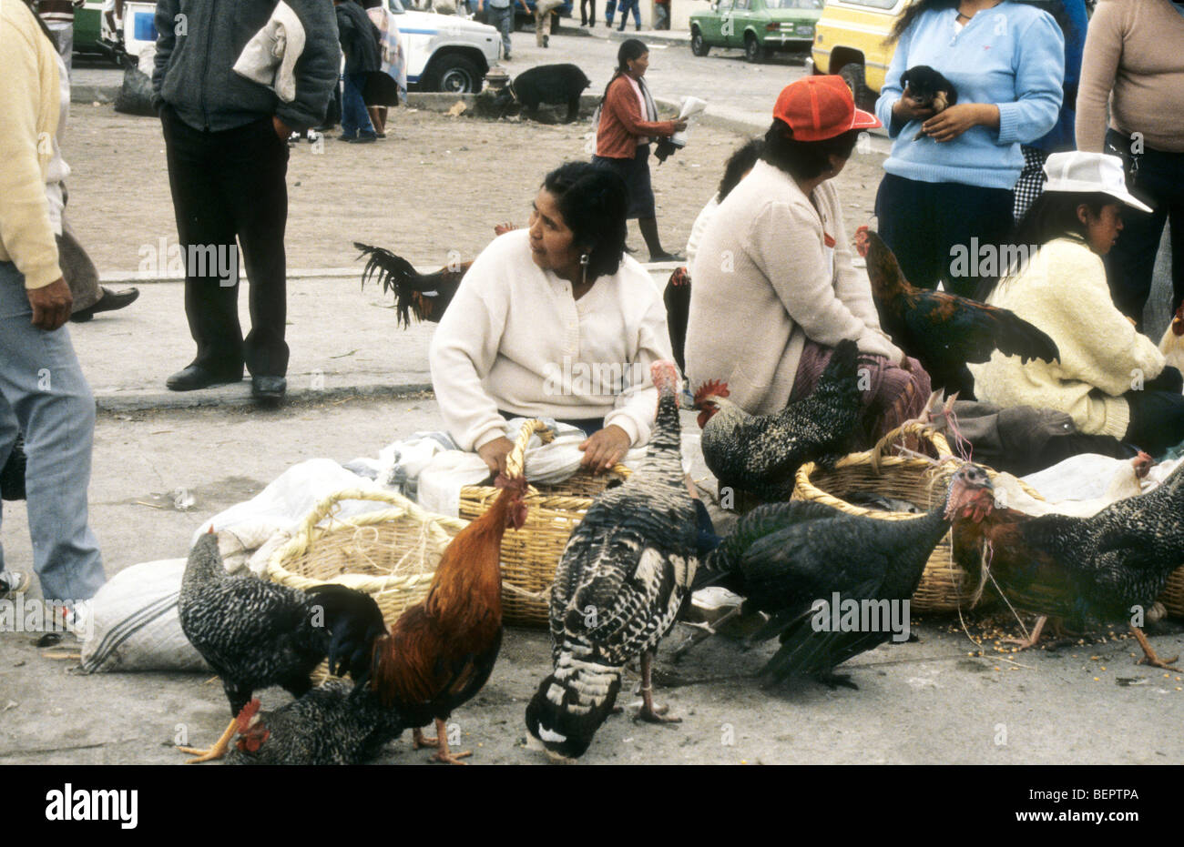 Women selling live chickens in rural Ecuador market Stock Photo