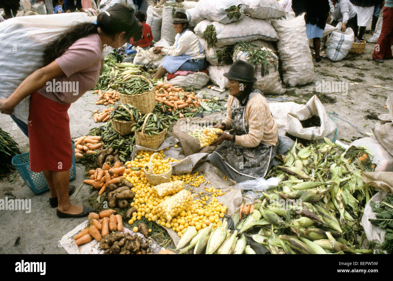 Older woman sitting in the midst of pile of different fresh vegetables in local upland Ecuador market. Stock Photo