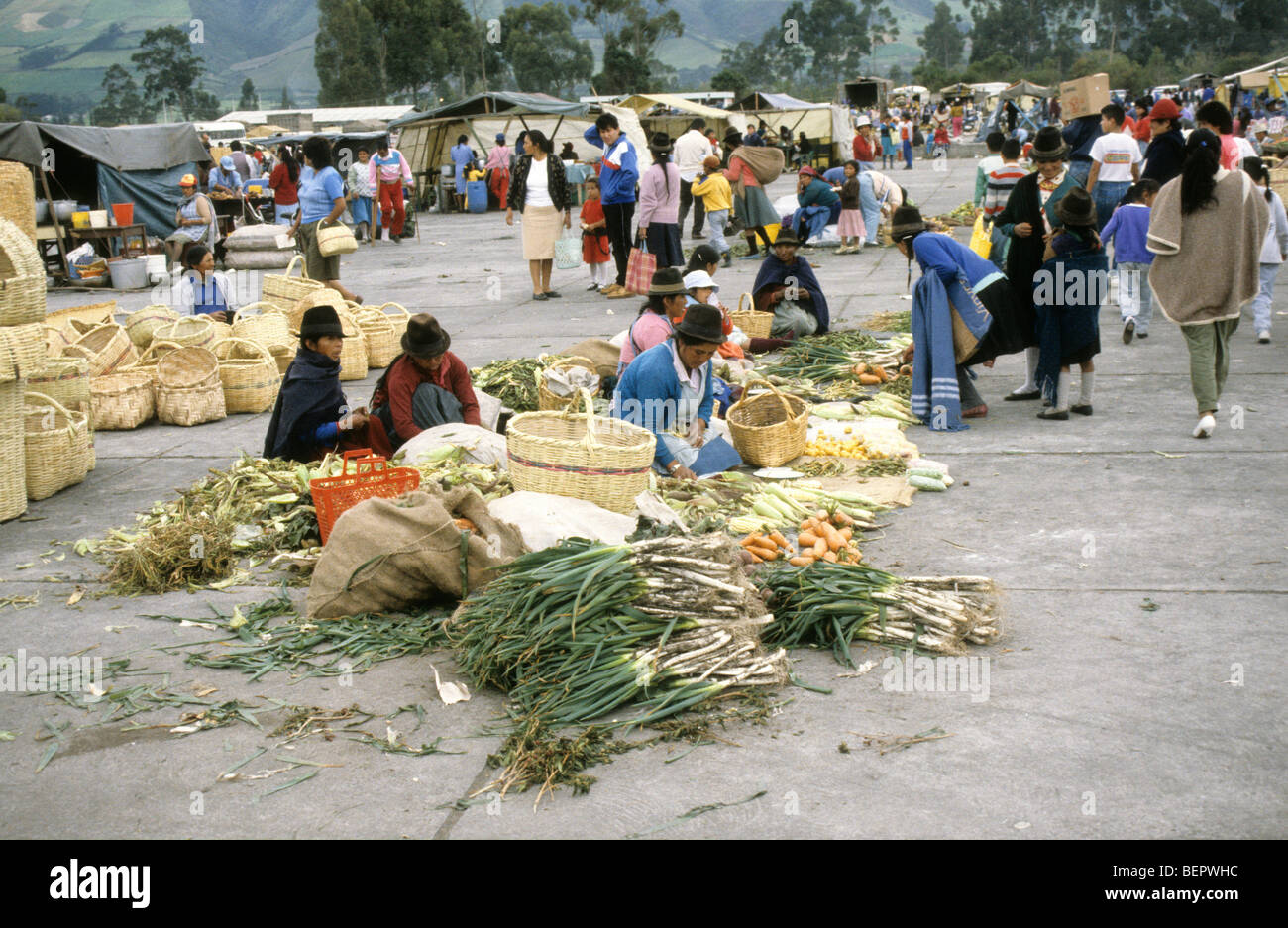 Vegetable sellers in Ecuadorian local market. Stock Photo