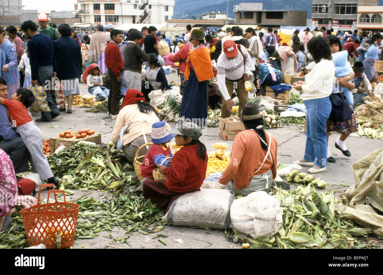 Group of women sit amongst vegetables for sale in local upland Ecuador market. Stock Photo