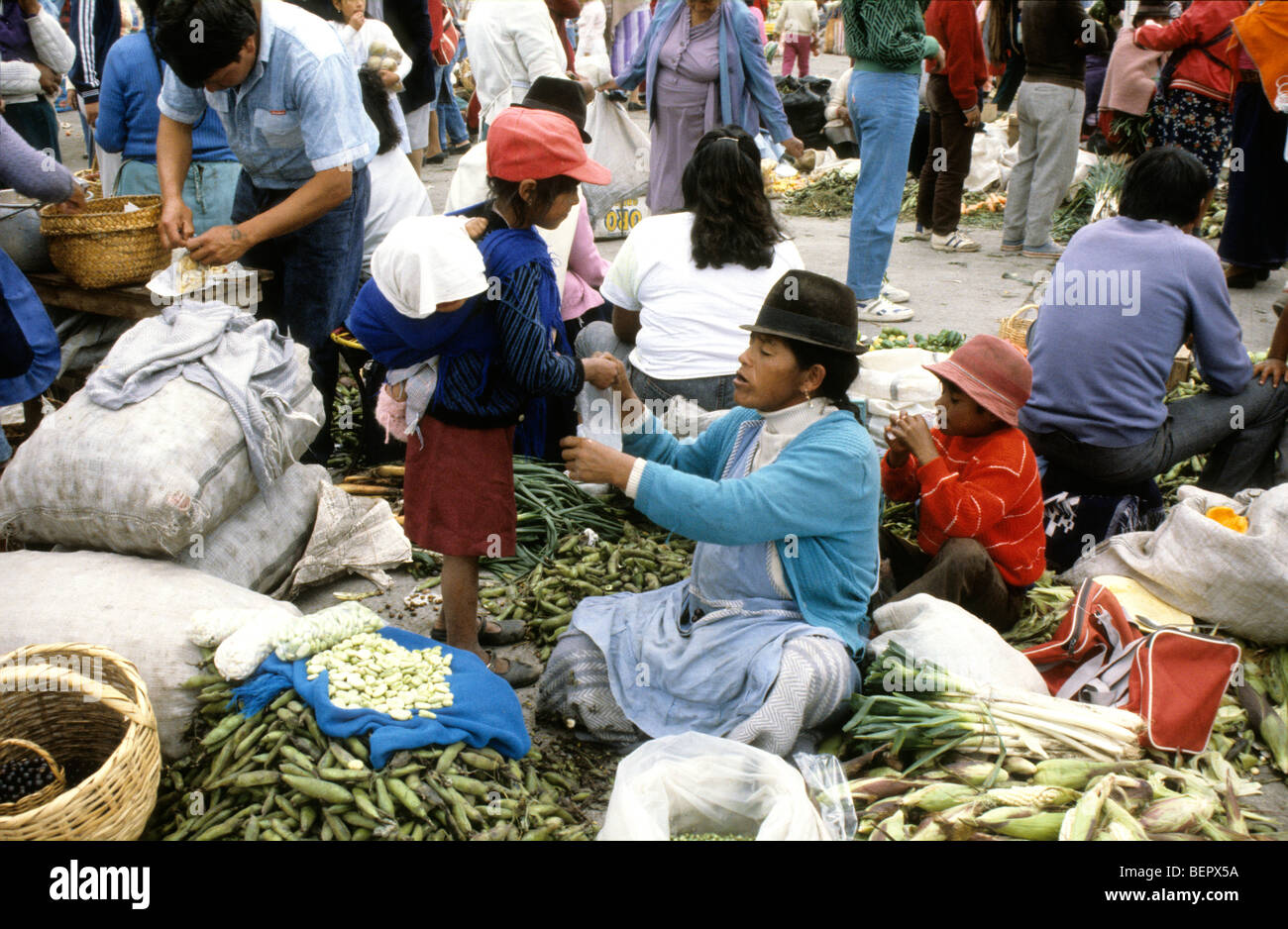 Women and her family selling fava beans in local upland Ecuador market. Stock Photo