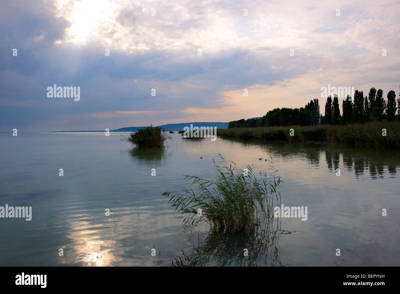 Lake Balaton from Szigliget marina at sunset - Hungary Stock Photo