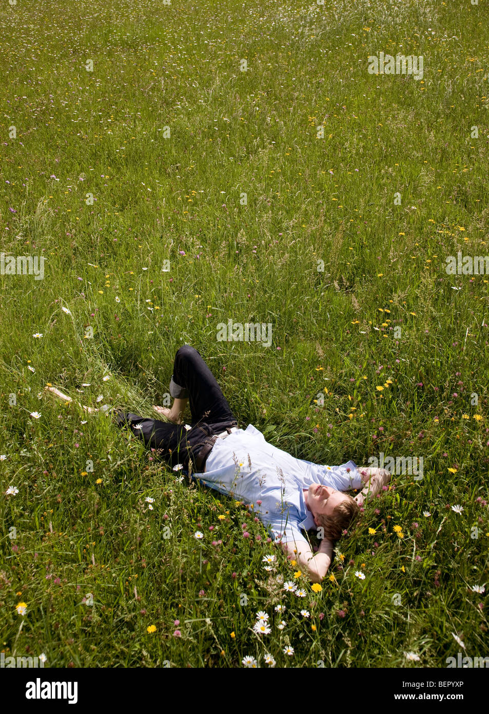 man lying in grass with spring flowers Stock Photo - Alamy