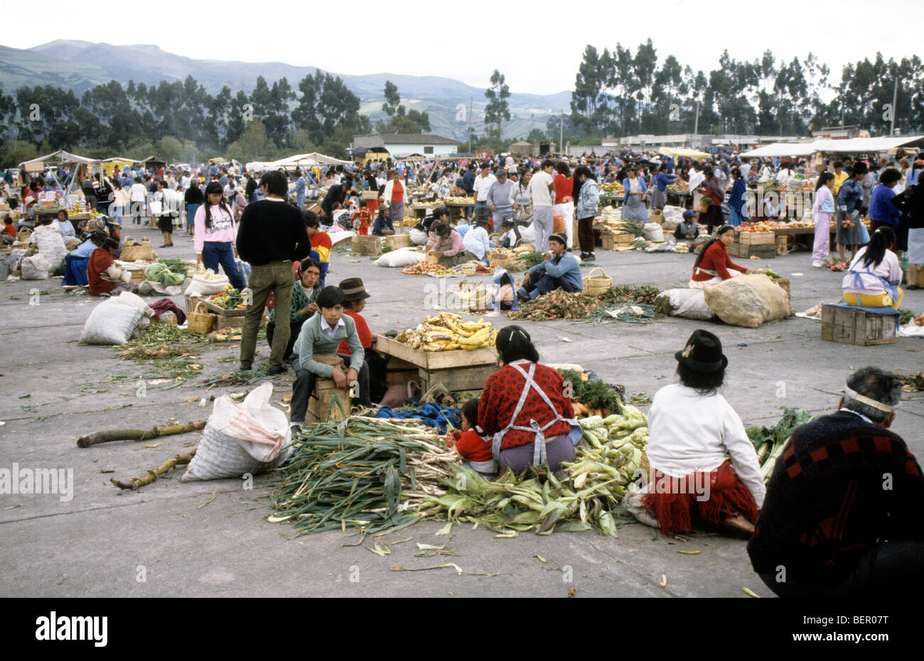 Lines of vegetable sellers in Ecuadorian local market. Stock Photo