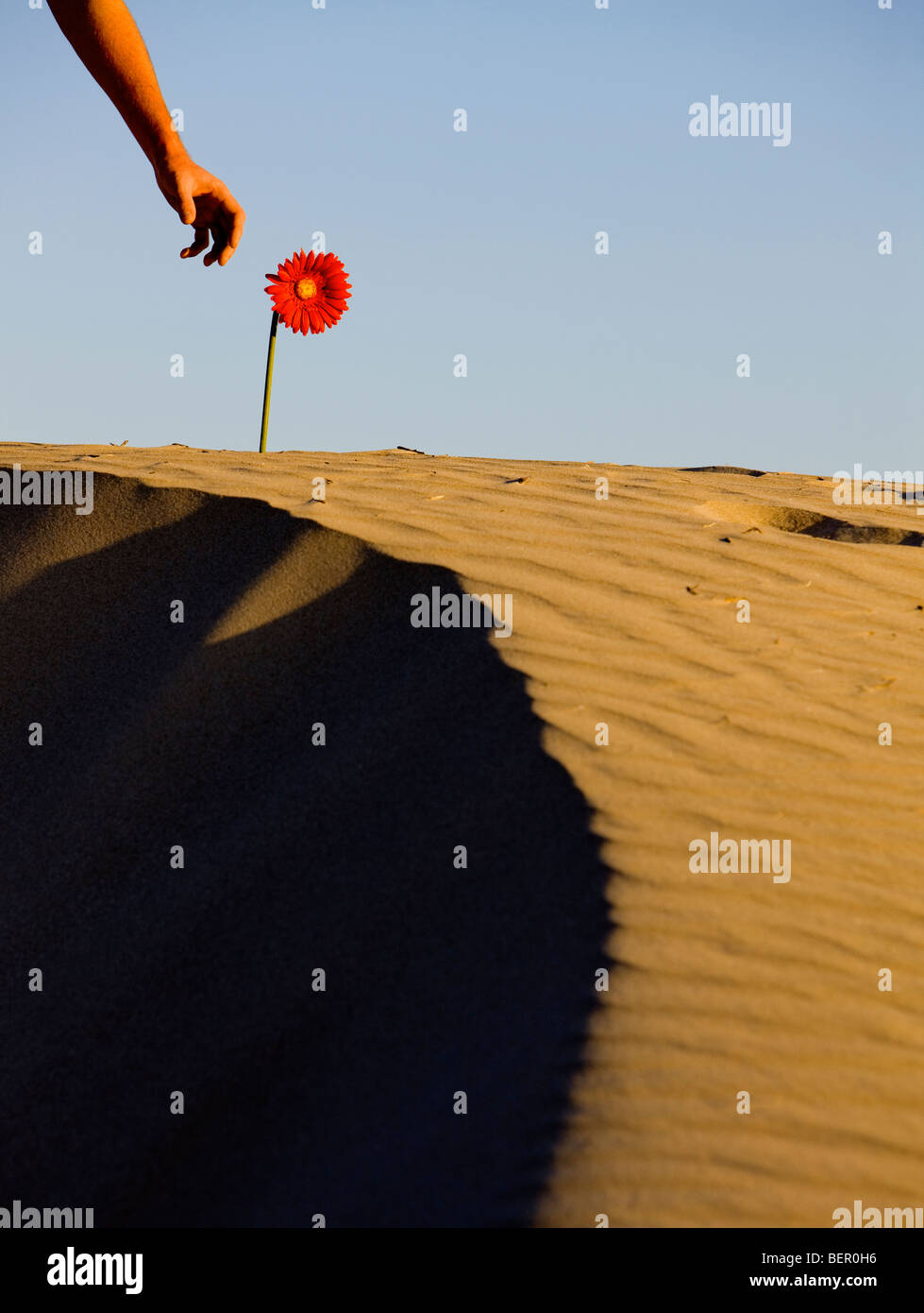 A curve in a sand dune. Stock Photo