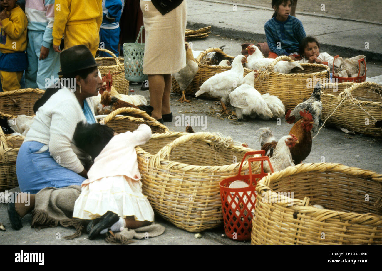 Woman selling live chickens in rural Ecuador market Stock Photo
