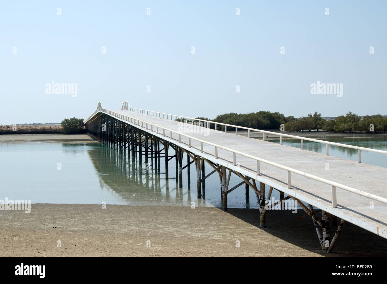 Bridge over a mangrove swamp on Futaisi Island, Abu Dhabi Stock Photo