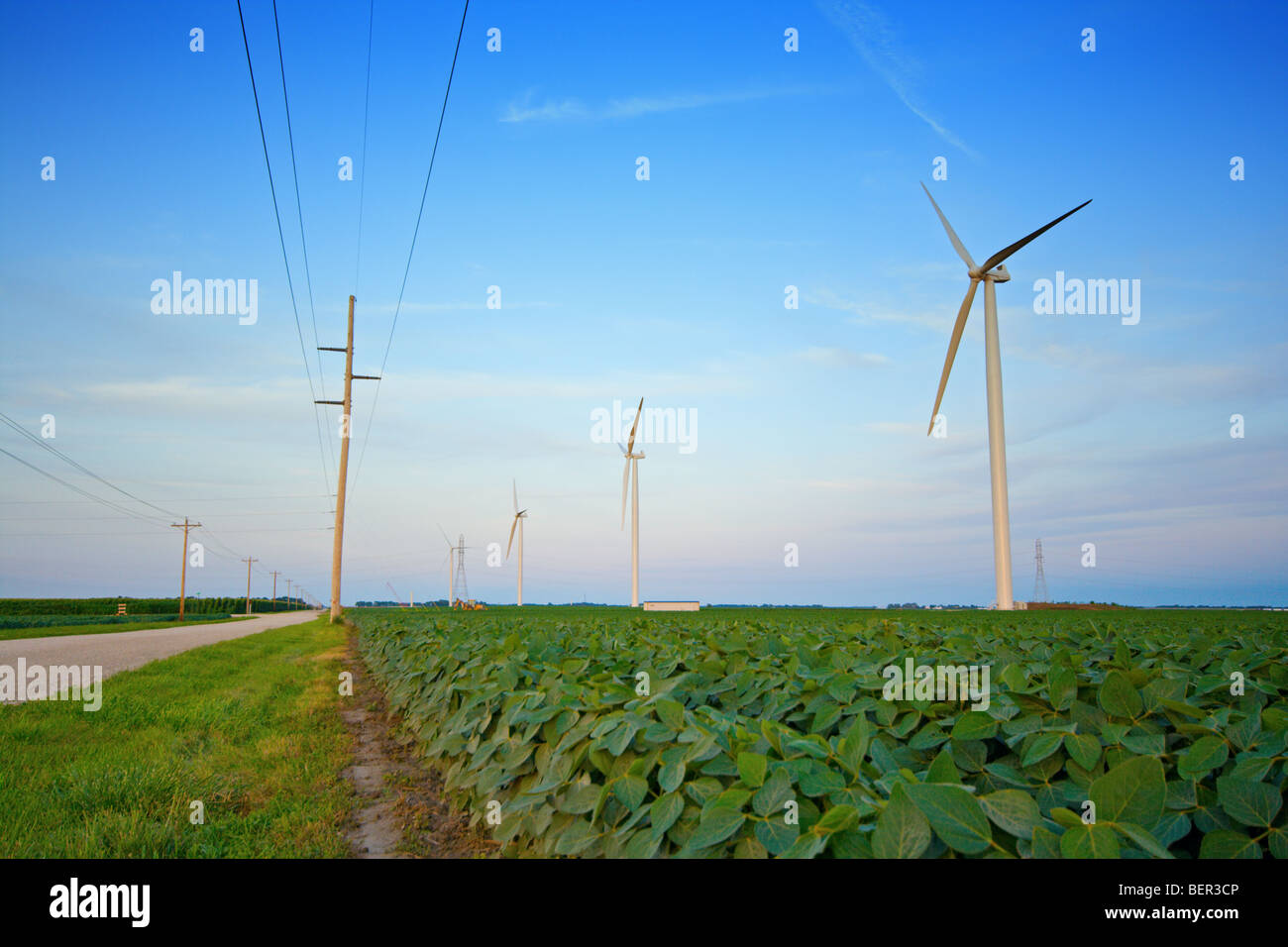 Windmills in soy field Stock Photo