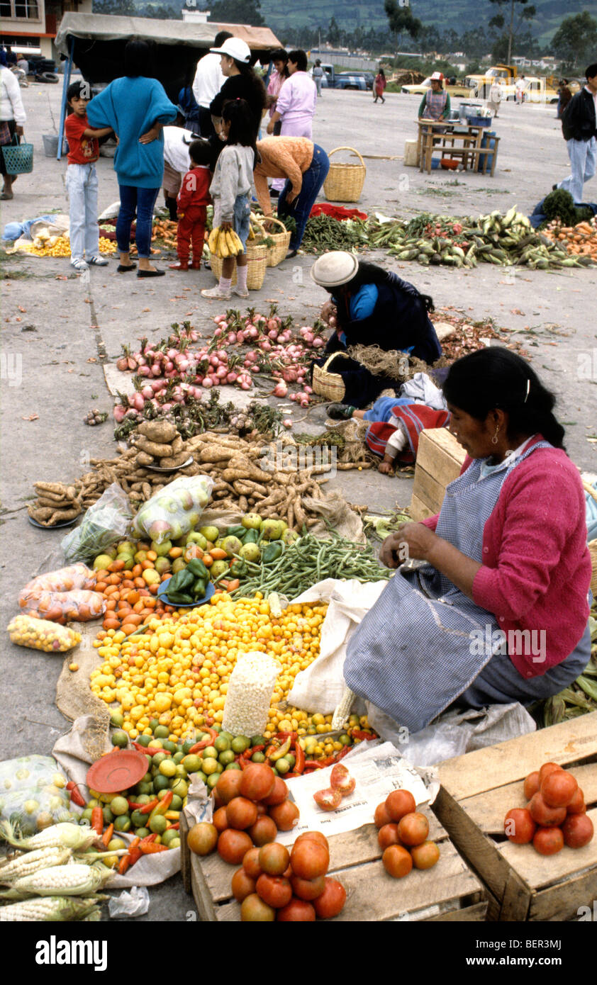 Colorful fruits and vegetables for sale in local market  upland Ecuador Stock Photo