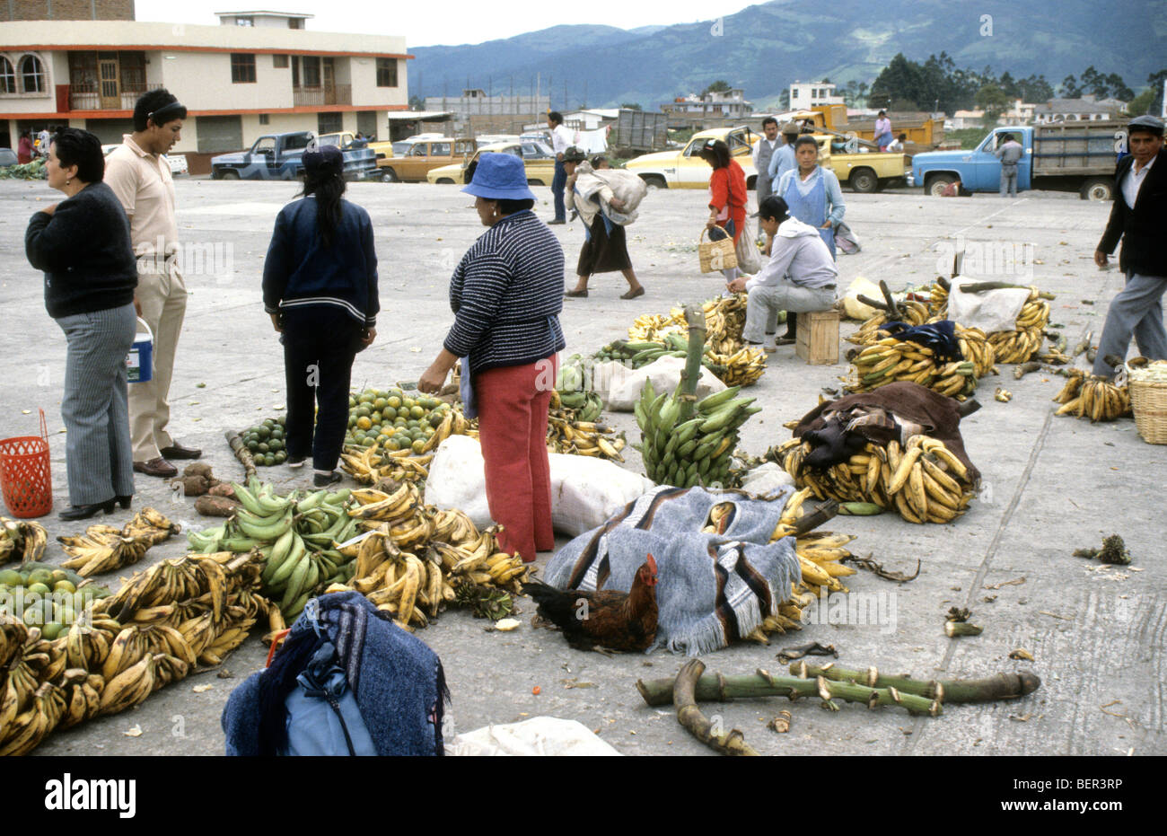 Fruit seller with large quantities of bananas. Local market  upland Ecuador Stock Photo