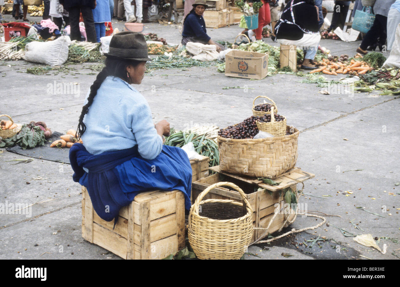 Woman in traditional inca dress selling dark berries from large wicker basket.  Local market upland ecuador. Stock Photo
