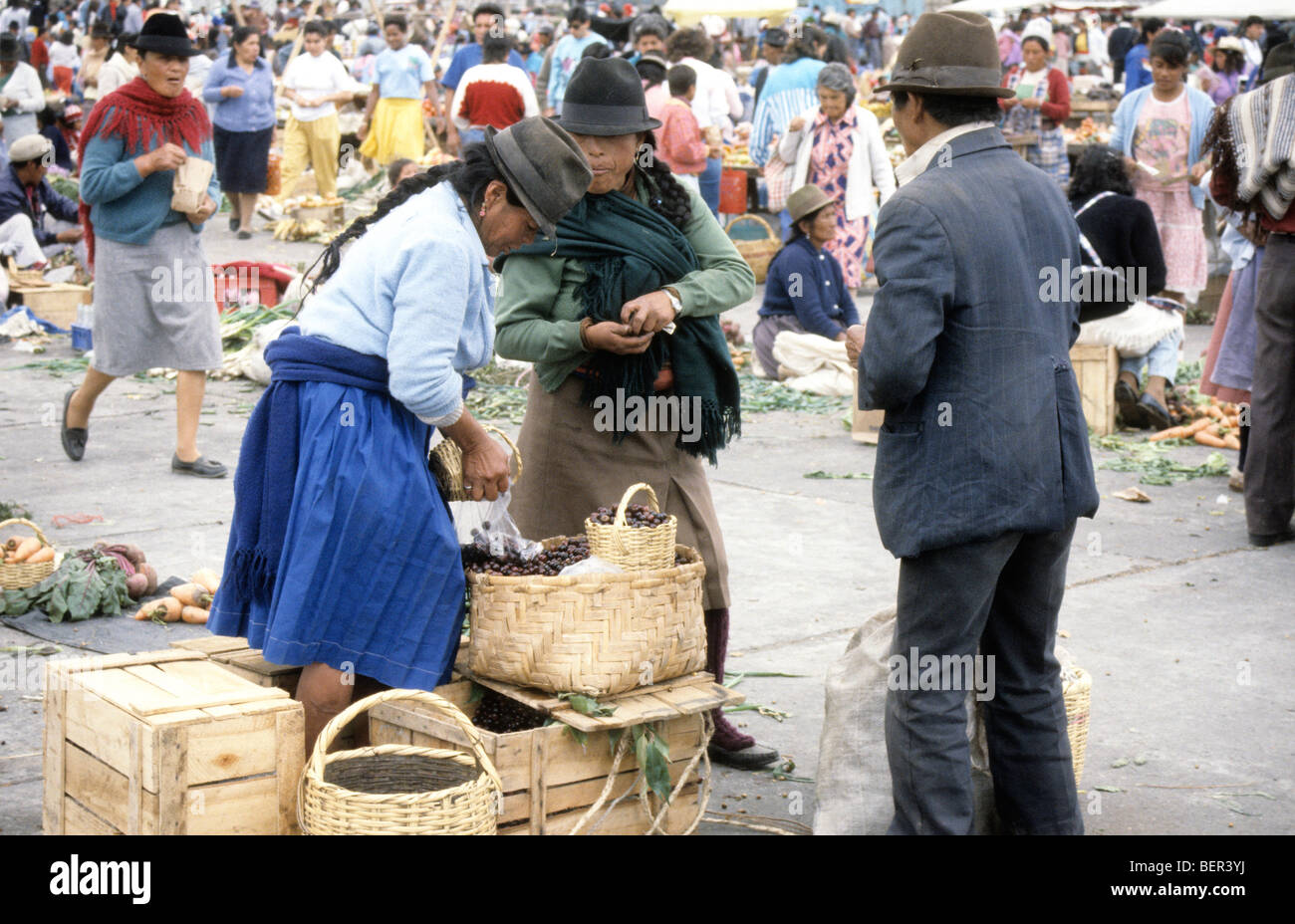 Woman in traditional inca dress tips some dark berries into bag for customer. Local market upland ecuador. Stock Photo