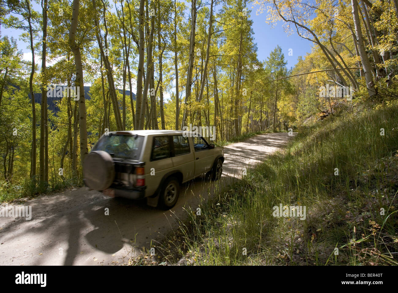 A 4 wheel drive SUV on a dirt road near Telluride, Colorado amongst the aspens which are turning color in late September. Stock Photo