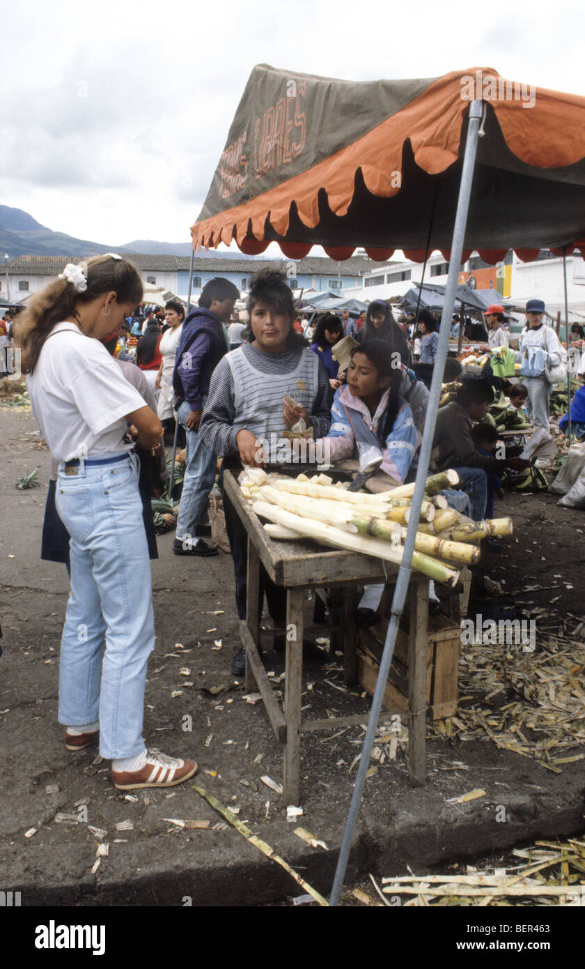 Small stall selling ‘ready to chew’ sections of sugar cane.  Ecuador Market. Stock Photo