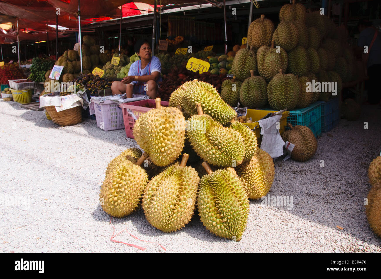 Durian – king of the tropical fruit. Pungent sweet custard like flesh in segmented pods from a hard and spiky fruit Stock Photo