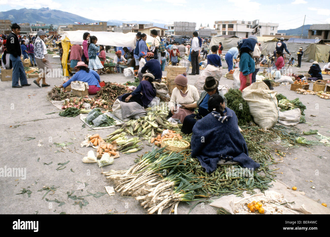 Short row of vegetable sellers  in local market  upland Ecuador Stock Photo