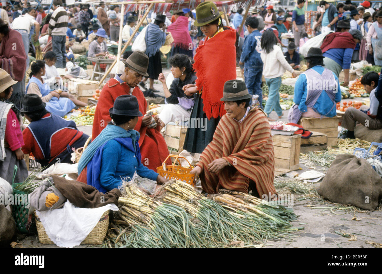 Group of traditionally dressed leek sellers large pile of long stemmed leeks talking.  Ecuadorian highlands local market. Stock Photo